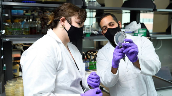 Professor working in a lab with a student