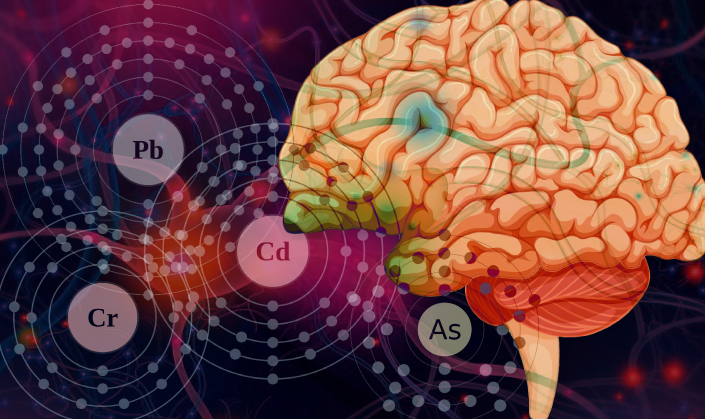 colorful image of brain, neurons, and metals (periodic elements)