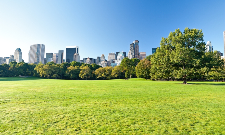 Large empty green park in front of a city full of skyscrapers