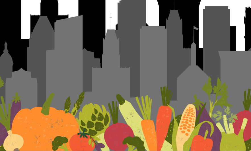 Urban Farming Article Banner