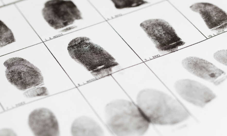 image of fingerprints 