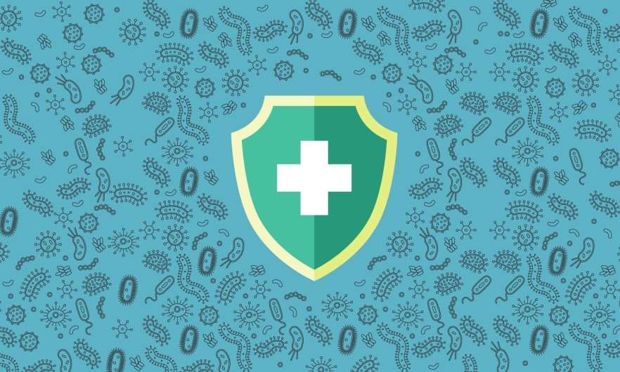 Green shield with white medical cross in the center of a teal background illustrated with hundreds of microbes