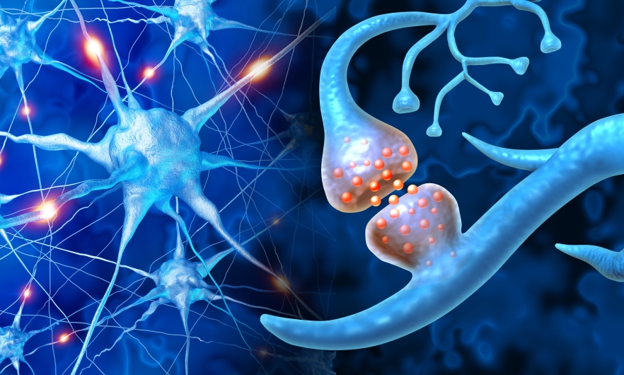 illustration of a brain synapse