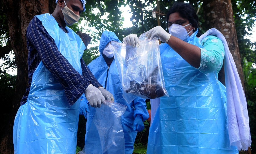 Officials deposit a bat into a plastic bag after catching it, in Kozhikode, India, on September 7, 2021.