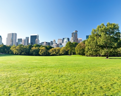 Large empty green park in front of a city full of skyscrapers