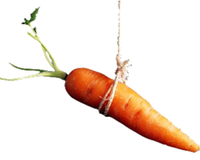 Carrot