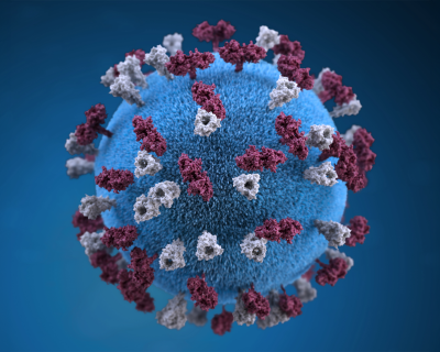illustration of measles virus