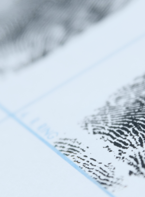 Fingerprints imagery