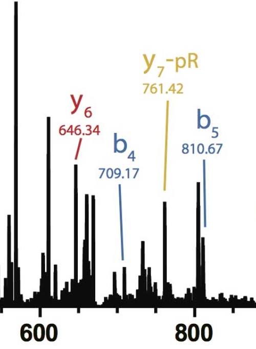 A mass spectrometry spectrum graph