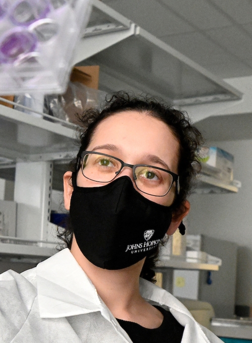 ScM student Marie Portuallo and Assistant Professor Vito Rebecca look at a 12 well plate in the lab