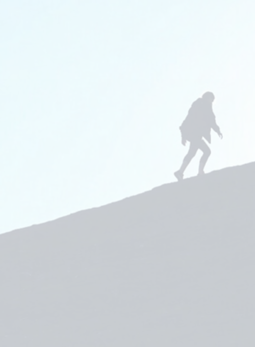 SEE Change_Mainstreaming Agency Roadmap_banner