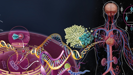 illustration showing the transformation of molecules to a human being