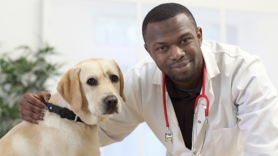 doctor with a dog