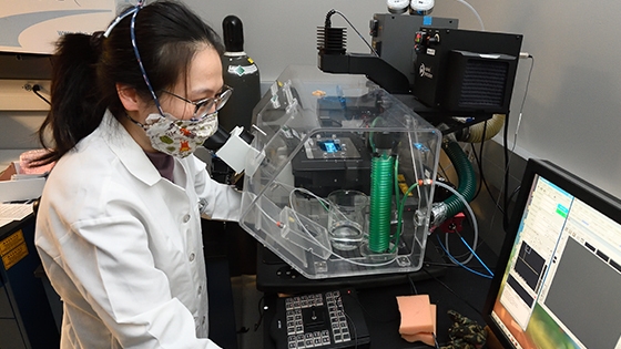 student working in the lab