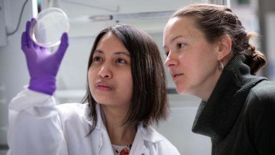 Two women in a lab looking at a microscope slide