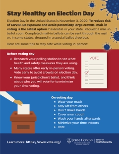 Stay Healthy on Election Day, infographic