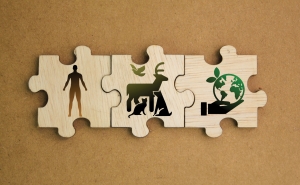 Three interlocking wooden puzzle pieces depicting, left to right, a human form, animals (deer, cat, dog, bird), and the environment (a hand holding a globe)