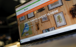 The healthcare.gov website, where millions of Americans buy their health insurance, seen on a laptop in Norfolk, Virginia, on November 1. 