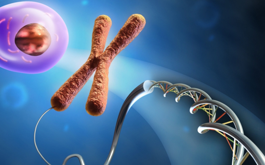 epigenetic-regulation-environmental-diseases