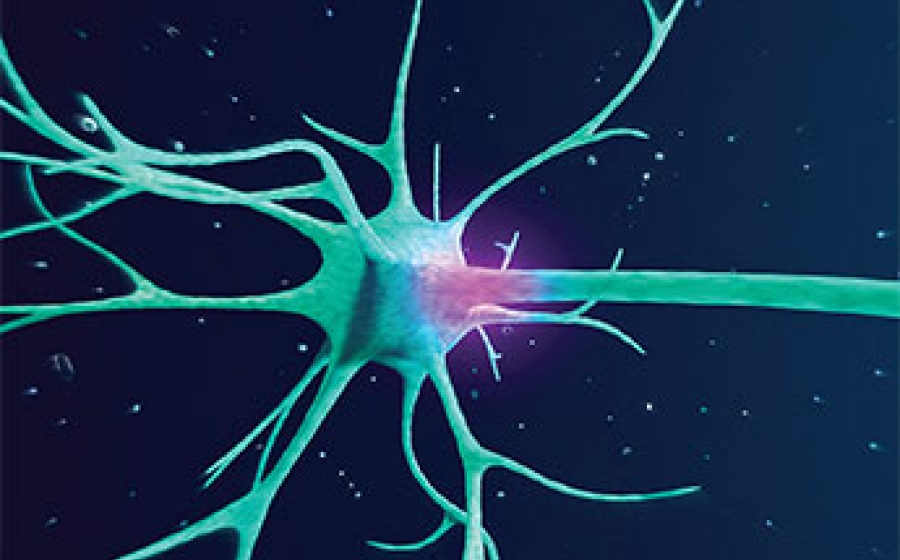 Now: A New Frontier - Proteins Must conform to a specific  Three-dimensional Shape