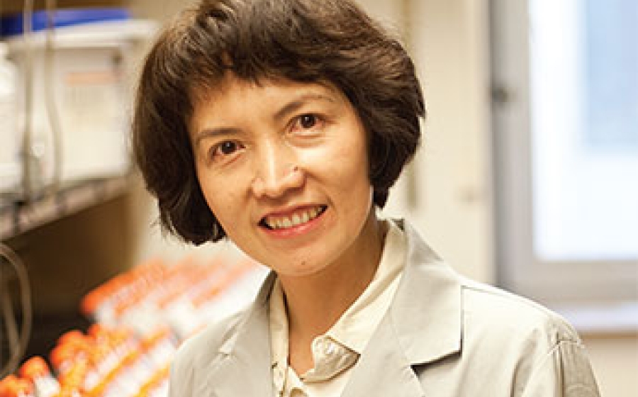 A Closer Look - Xiaobin Wang, MD, MPH, ScD ’91