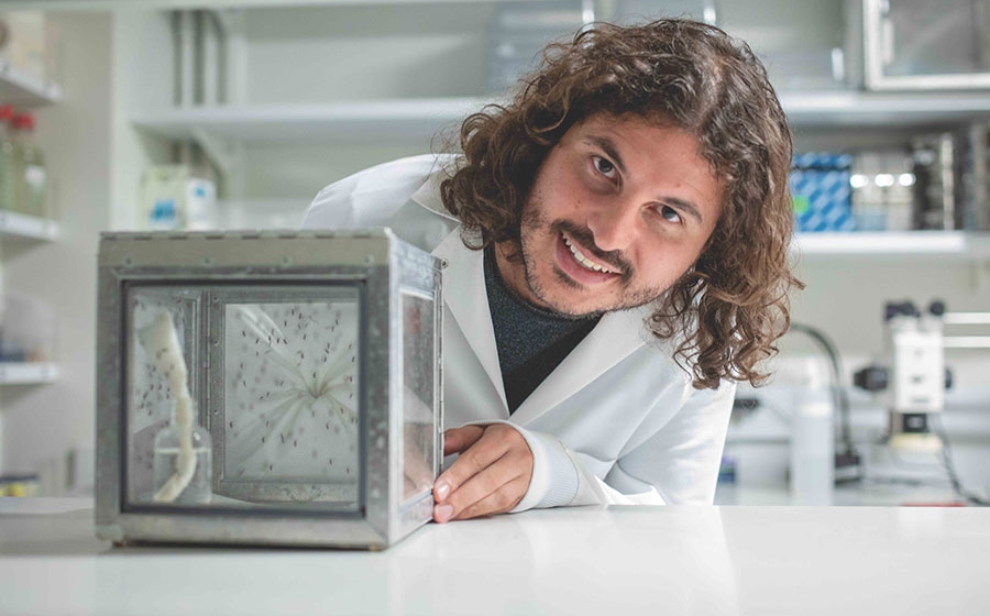 student in mosquito lab