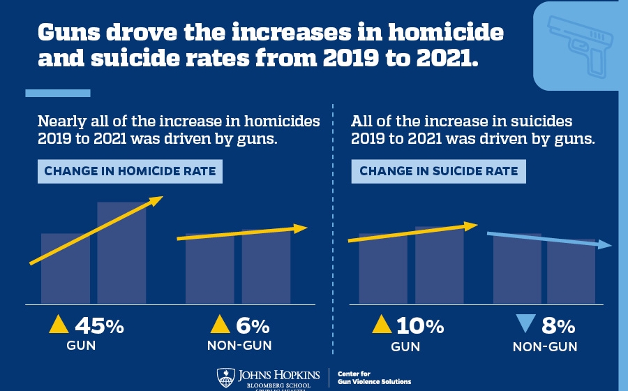 Graph showing changes in homicide and suicide rates