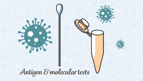 Antigen and molecular tests