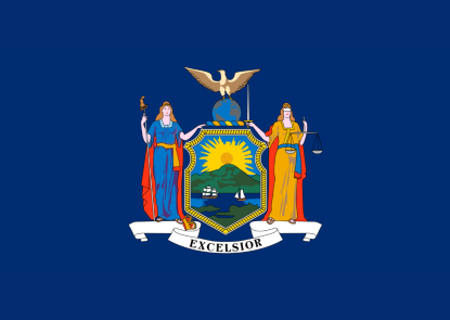 New York state factsheet